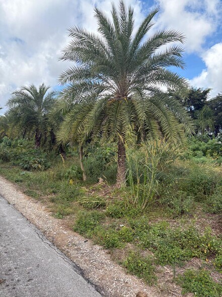 More Photos Of 12351 SW 177th Ave, Miami Land For Sale