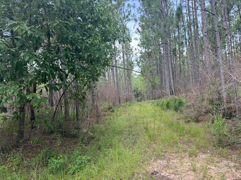 More Photos Of 0 Nokomis Road, Walnut Hill Land For Sale