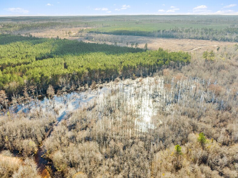 More Photos Of 7471 Hwy 155, Saline Land For Sale