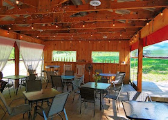 More Photos Of 124 Sandy Hill Ln, Hendersonville Winery Vineyard For Sale
