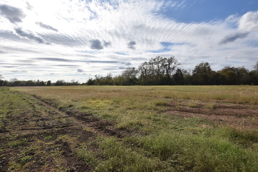 More Photos Of 201 County Road 224, Wharton Land For Sale