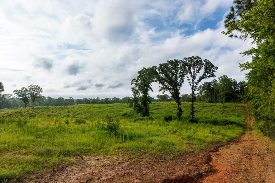 More Photos Of 2199 Roosterville Rd, Roopville Horse Stables For Sale