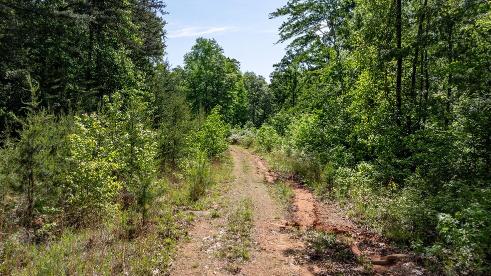 More Photos Of 5380 Washington Woodard Dr, Maiden Land For Sale