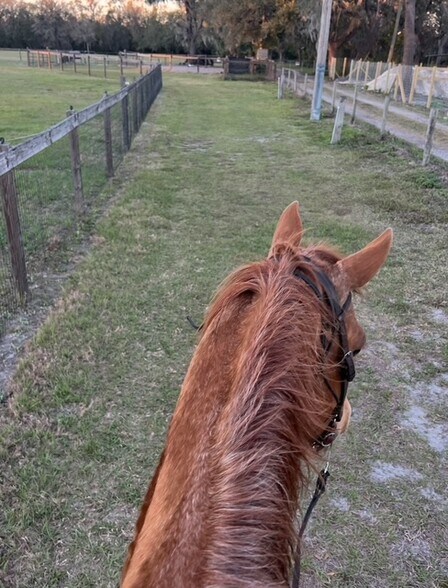 More Photos Of 7705 Gardner Rd, Tampa Specialty For Sale