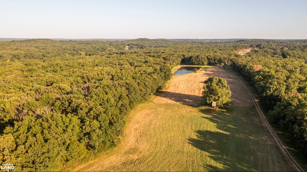 More Photos Of 178 Oak Creek Ln, Bland Land For Sale