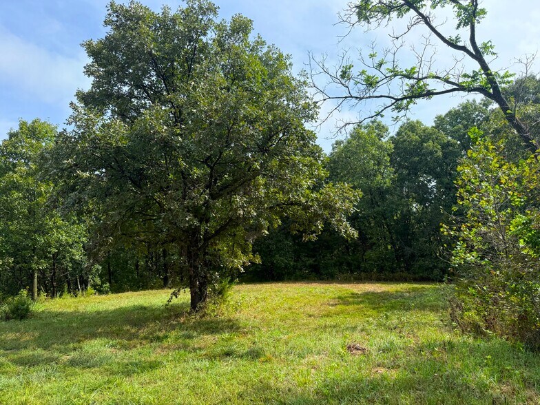 More Photos Of 17660 Golden Rd, Linwood Land For Sale