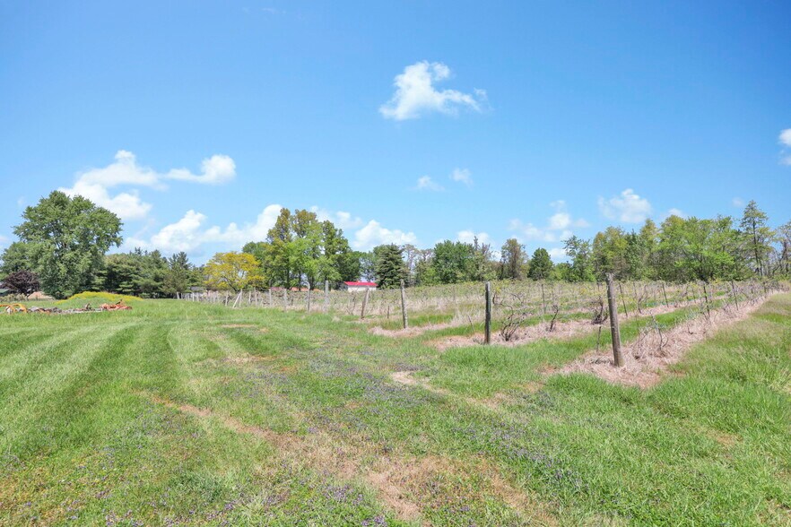 More Photos Of 1900 Winchester Southern Rd, Canal Winchester Winery Vineyard For Sale