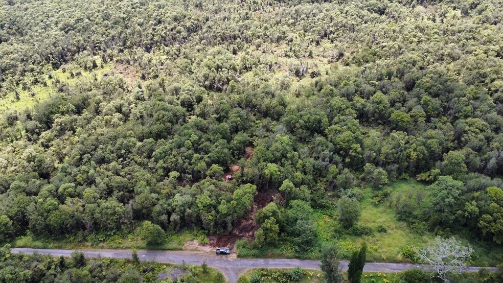 More Photos Of Mauna Loa Dr, Volcano Land For Sale