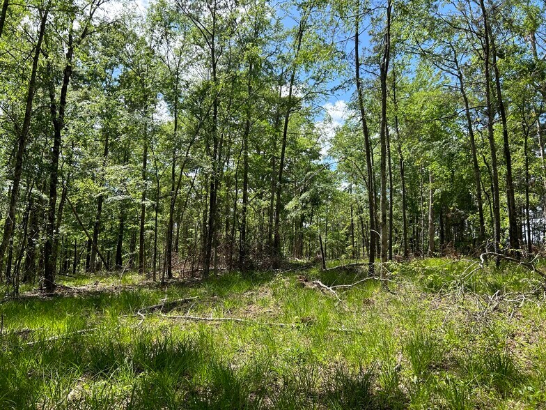 More Photos Of 2700 N Columbia St, Milledgeville Land For Sale