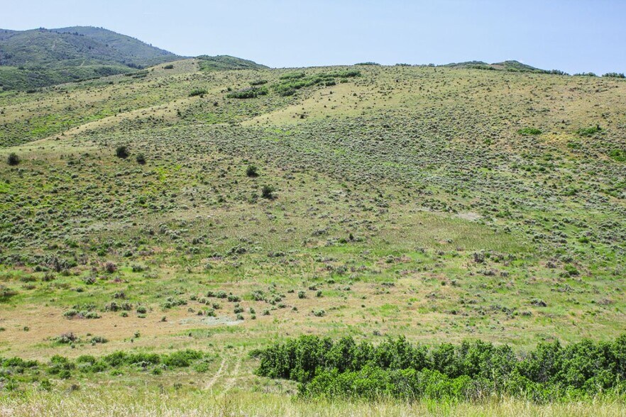 More Photos Of W Hoytsville Rd, Hoytsville Land For Sale