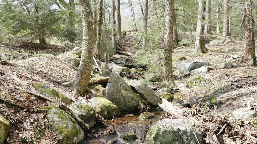 More Photos Of 235 Granville Rd, North Granby Land For Sale