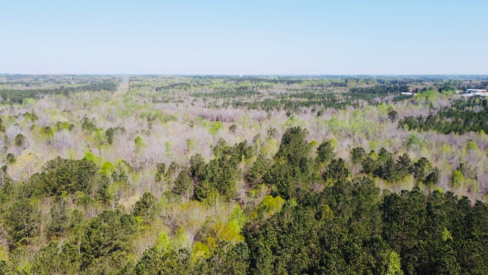 More Photos Of 2889 36, Jackson Land For Sale