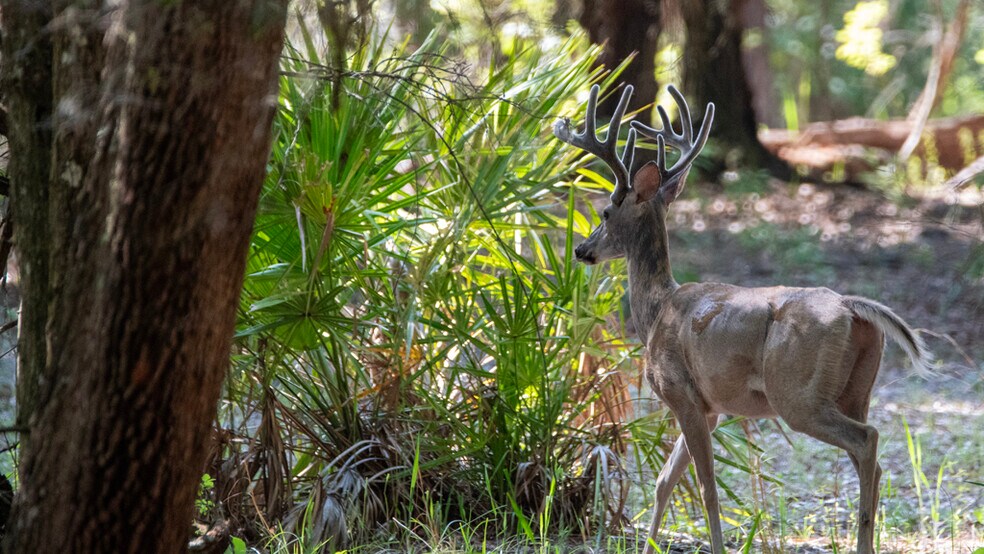 More Photos Of 134 Shoreside Trail, Crescent City Land For Sale