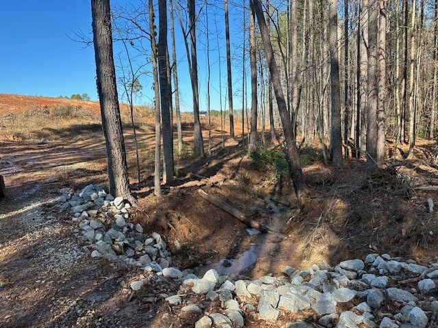 More Photos Of 693 Elledge Road, Ware Shoals Land For Sale