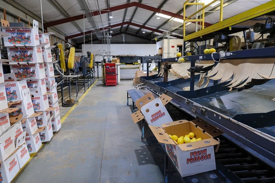 Primary Photo Of 8507 Rd 256, Terra Bella Food Processing For Sale