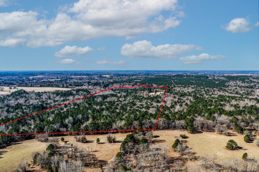 More Photos Of 1609 County Road 246 S rd, Tyler Land For Sale