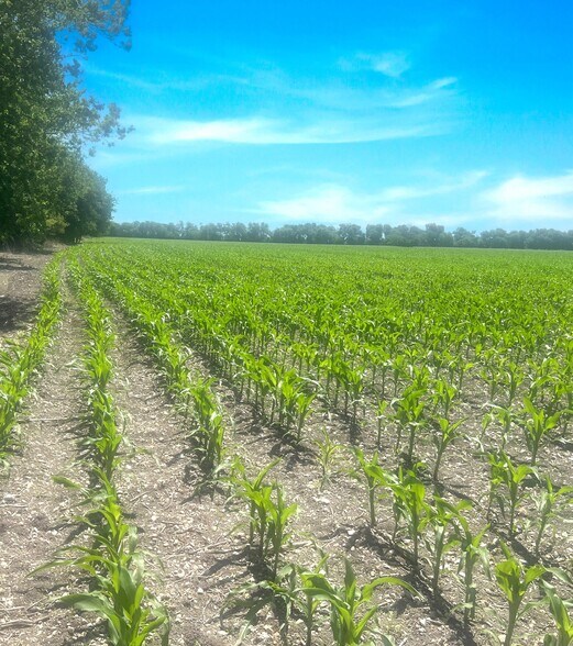 More Photos Of State Highway 53 & Little Flock Road, Temple Land For Sale