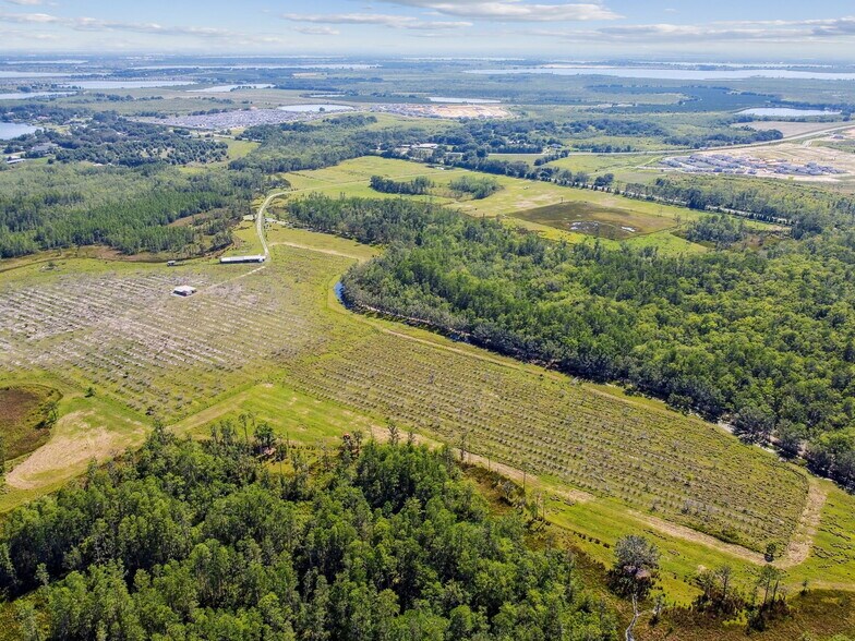 More Photos Of State Road 557, Lake Alfred Land For Sale