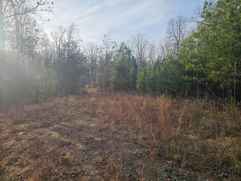 More Photos Of 762 Smith Mountain Rd, Dunlap Land For Sale