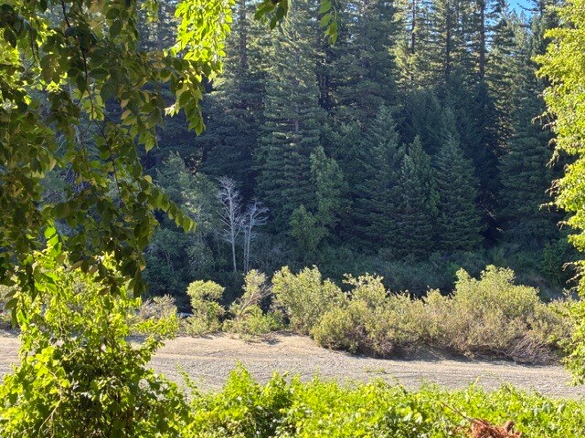 More Photos Of 4112 Redwood Dr, Redway Hotel For Sale