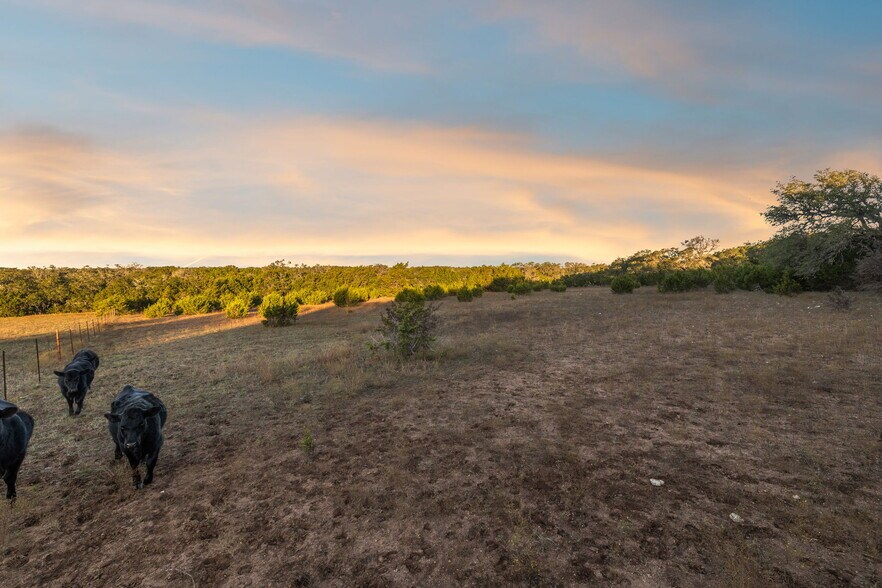 More Photos Of 678 Ammann Road, Bulverde Land For Sale