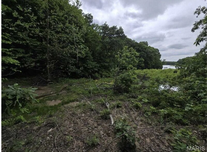 More Photos Of 6959 W Fellin Drive, Mount, Mount Olive Land For Sale