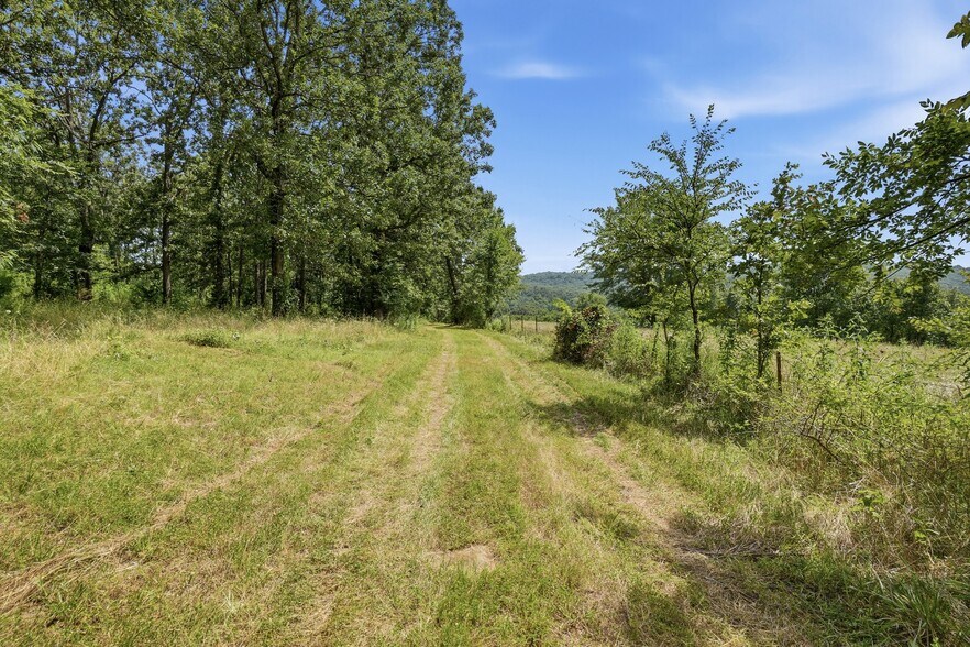 More Photos Of 11373 Colcleasure Rd, Fayetteville Land For Sale