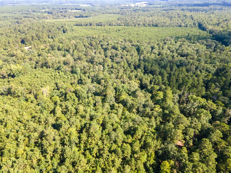 More Photos Of 2539 FM 995, Atlanta Land For Sale