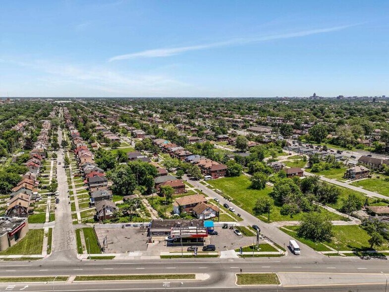 More Photos Of 13730 Livernois Ave, Detroit General Retail For Sale