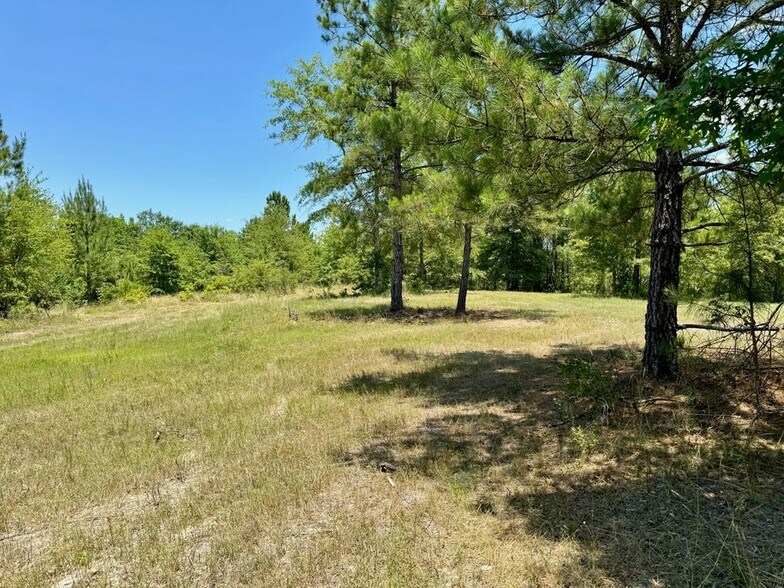 More Photos Of 241 Foskey Cemetery Rd, Adrian Land For Sale