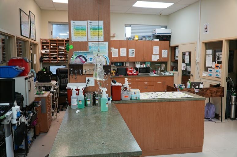 More Photos Of 9400 NW 58th St, Miami Veterinarian Kennel For Lease