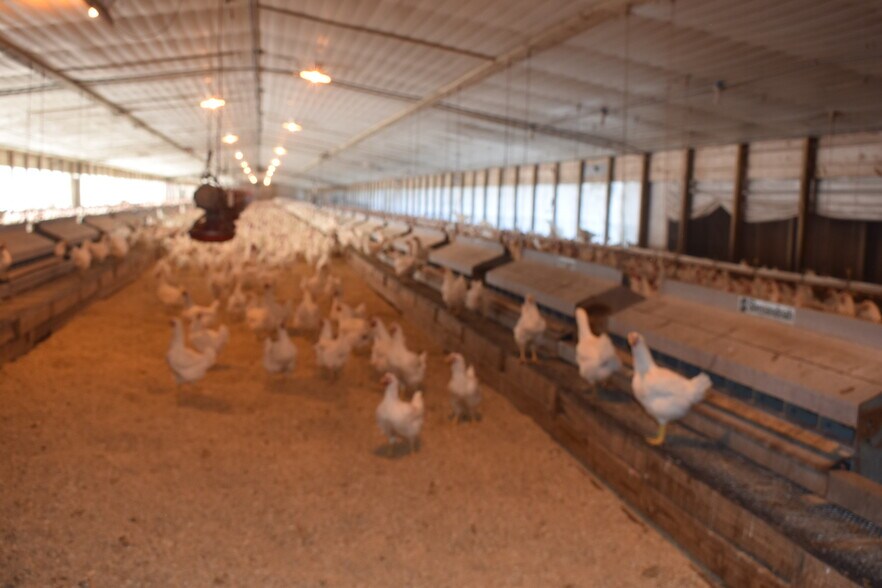 More Photos Of 441 Weaver Rd, Moultrie Land For Sale