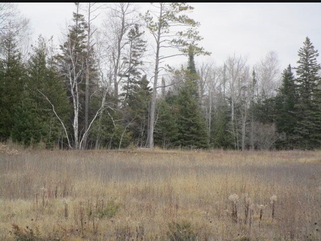 Primary Photo Of 14230 Mackinaw Hwy, Mackinaw City Land For Sale