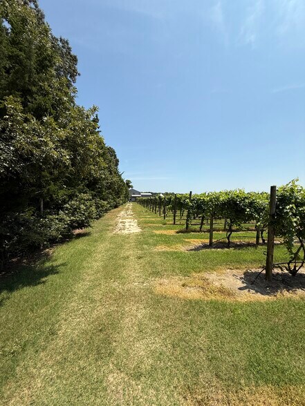 More Photos Of 221 N Delsea Dr, Cape May Court House Winery Vineyard For Sale