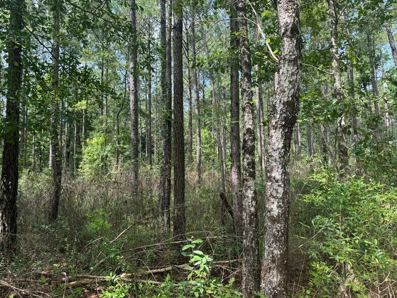 More Photos Of 0 Nokomis Road, Walnut Hill Land For Sale