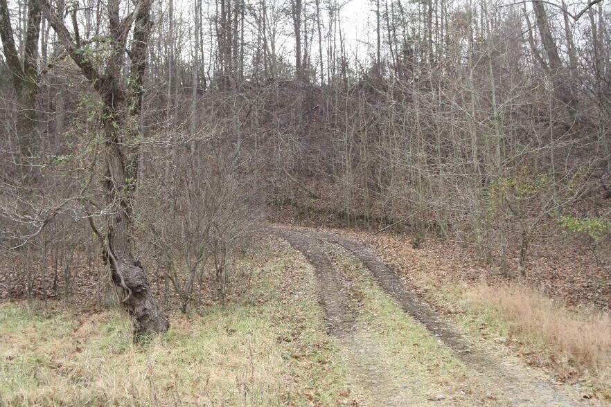 Primary Photo Of 2010 Spruce St, Martinsville Land For Sale
