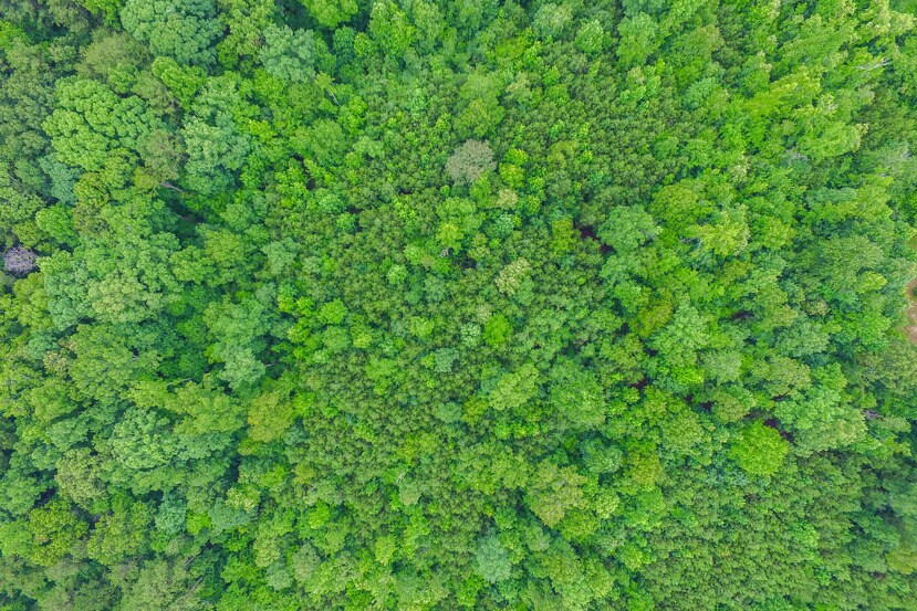 More Photos Of 4666 Stonewall Tell, Atlanta Land For Sale