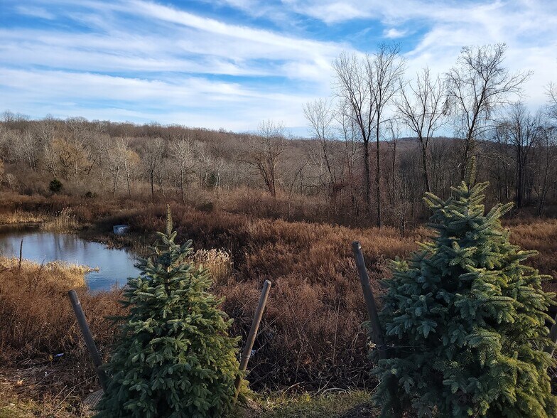 Primary Photo Of 228 Mahopac Ave, Somers Township Land For Sale