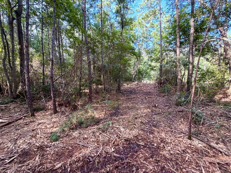 More Photos Of 3.39 Acres, FM 787, Saratoga Land For Sale