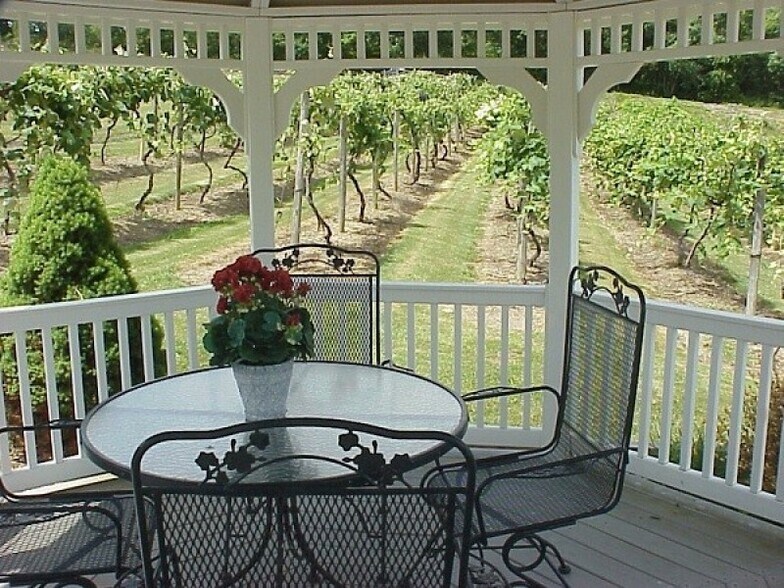 More Photos Of 861 Bailey Rd, Curwensville Winery Vineyard For Sale