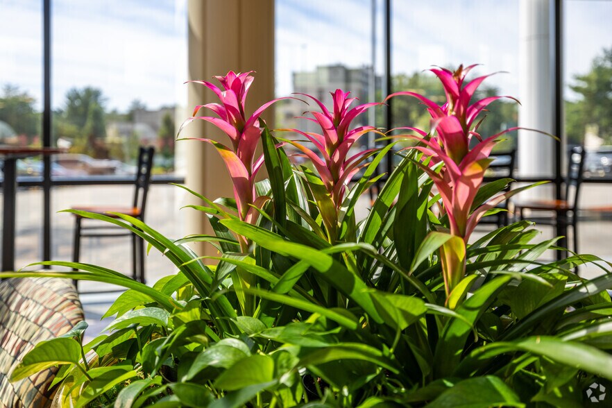 More Photos Of 20 Trafalgar Sq, Nashua Office For Lease