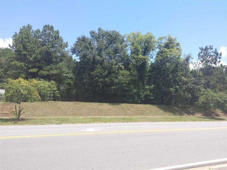 More Photos Of N Highway 90, Sneads Land For Sale