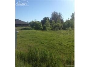 More Photos Of 1240 N Irish Rd, Davison Land For Sale