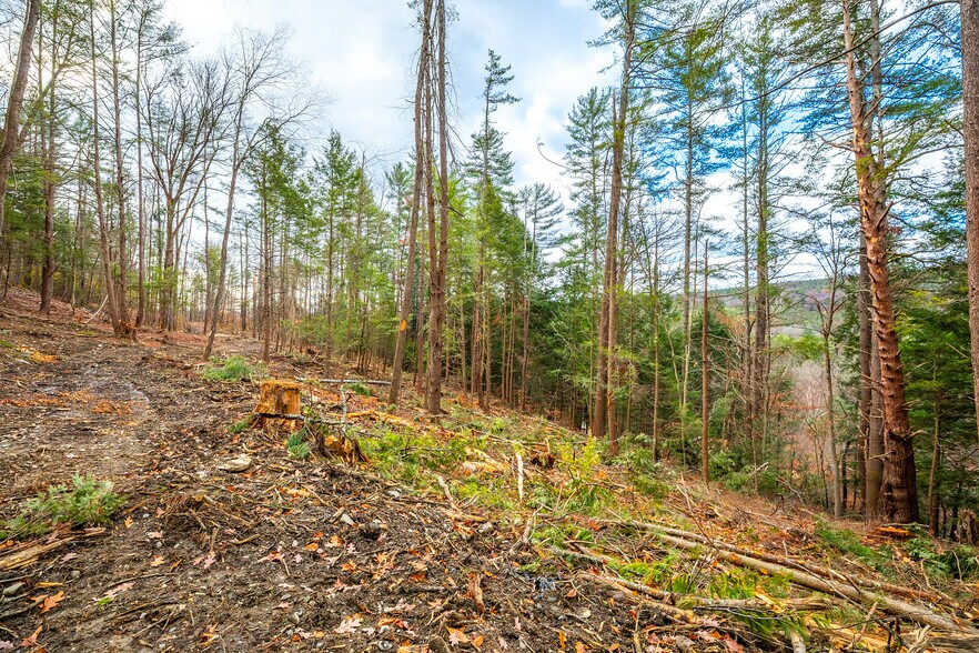 More Photos Of 40 E Putney Brook Rd, Putney Land For Sale