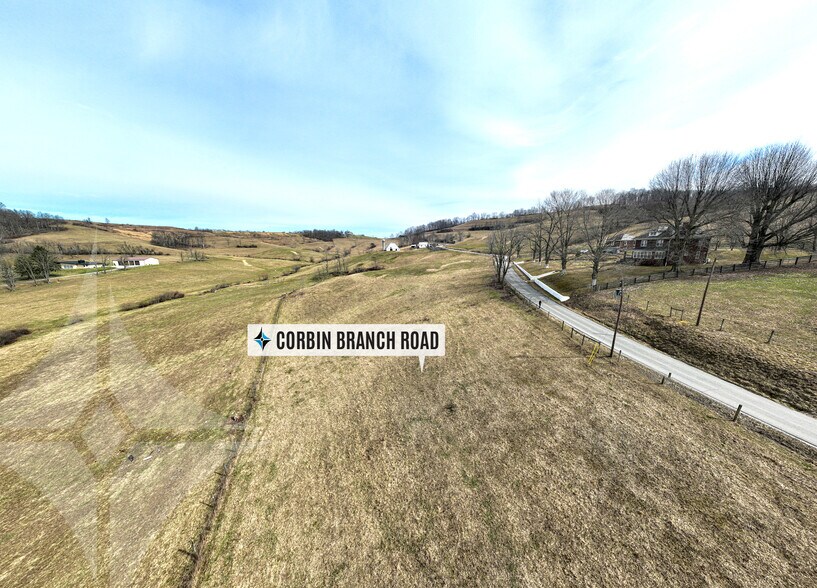 More Photos Of 257 Corbin Branch Rd, Bridgeport Land For Sale