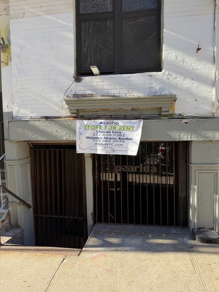 Primary Photo Of 125 Elizabeth St, New York Apartments For Lease