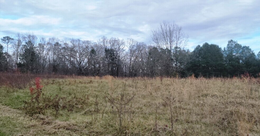 Primary Photo Of Thompson Chapel Rd, Spartanburg Land For Sale
