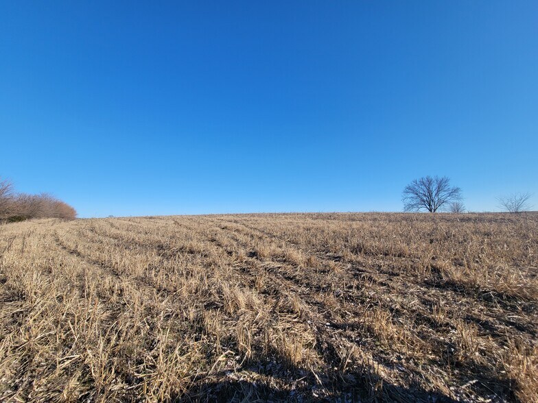 More Photos Of 171 Windy Hill Rd. (20+/- Acres), Elsberry Land For Sale