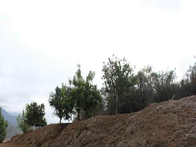 More Photos Of Pala Temecula Rd., Valley Center, CA 92082, Pala Land For Sale