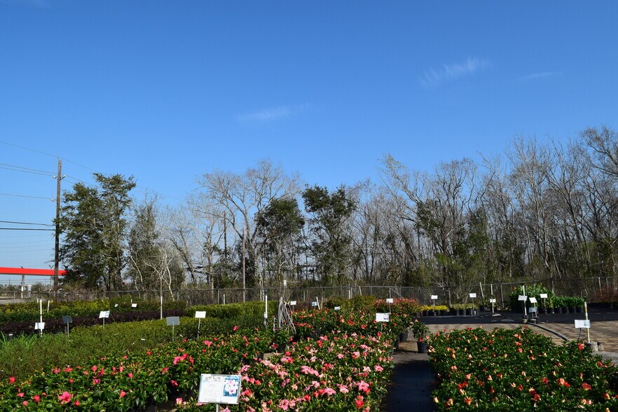 More Photos Of Bailey Rd at Masters rd, Pearland Land For Sale